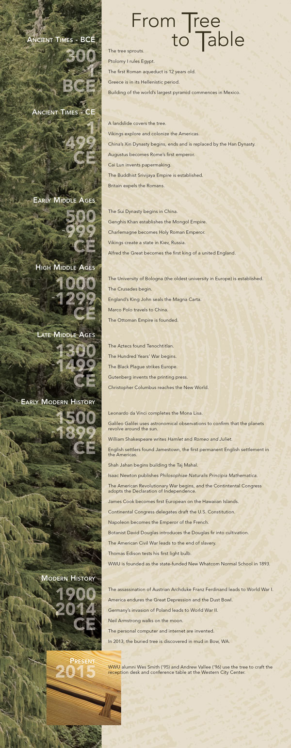 image of infograph